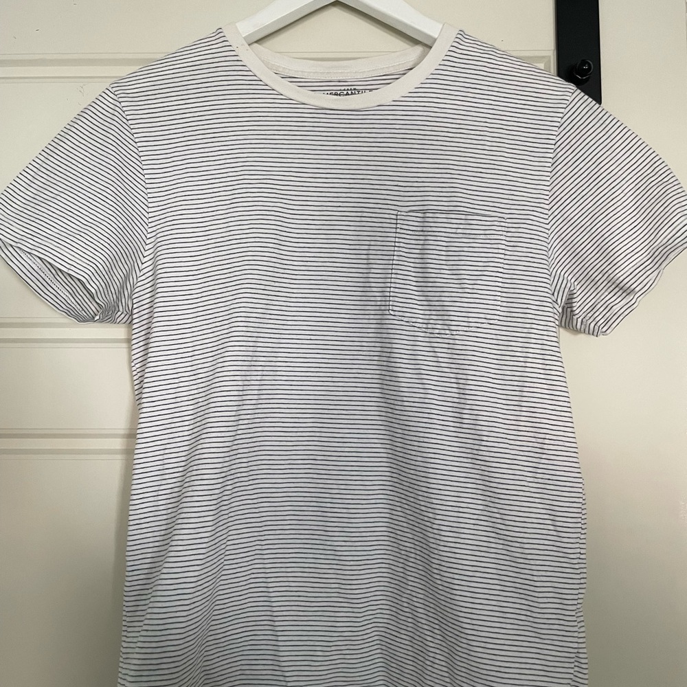 J. Crew Stripe T- Shirt